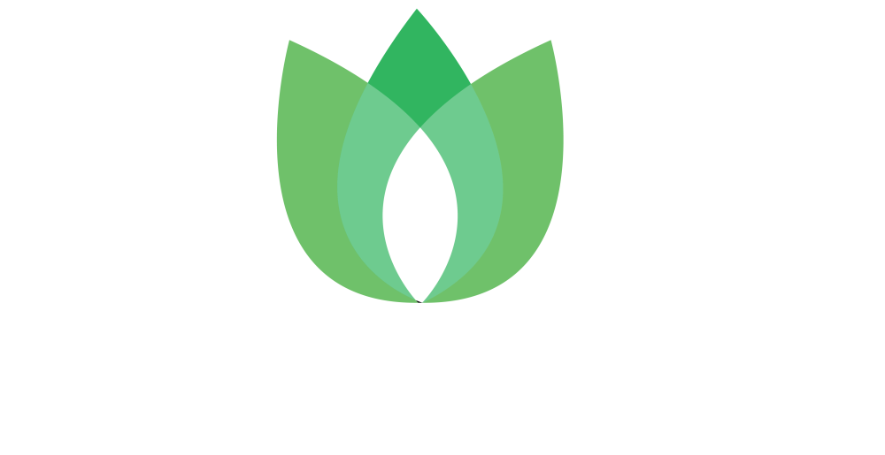 Agency Shape